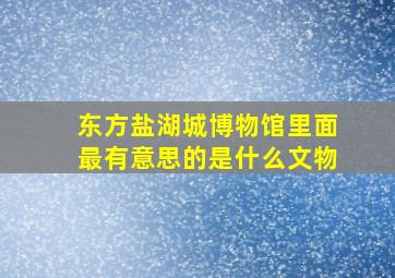 东方盐湖城博物馆里面最有意思的是什么文物