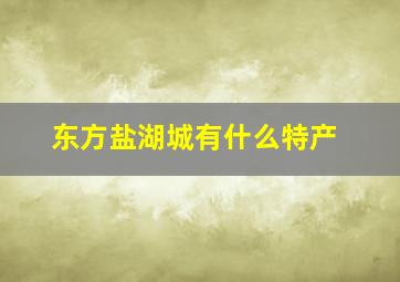 东方盐湖城有什么特产