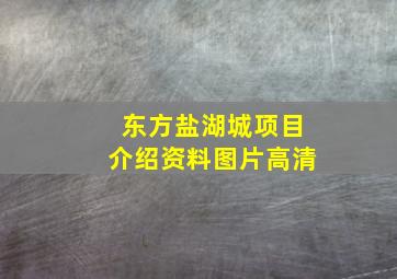 东方盐湖城项目介绍资料图片高清