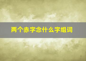 两个赤字念什么字组词