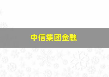 中信集团金融