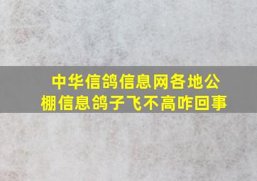 中华信鸽信息网各地公棚信息鸽子飞不高咋回事