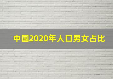 中国2020年人口男女占比