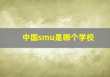 中国smu是哪个学校