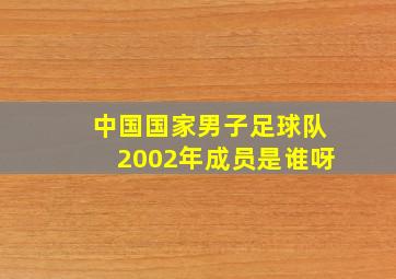 中国国家男子足球队2002年成员是谁呀