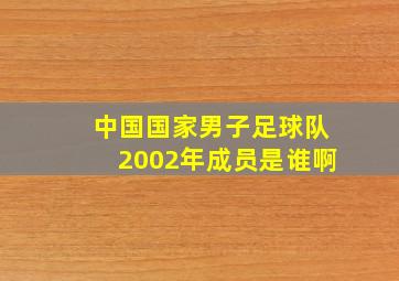 中国国家男子足球队2002年成员是谁啊