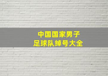 中国国家男子足球队绰号大全