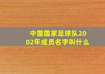 中国国家足球队2002年成员名字叫什么