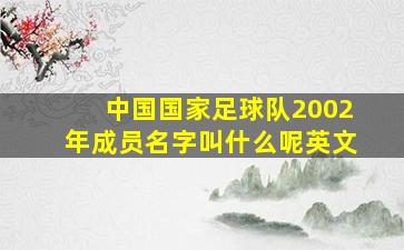 中国国家足球队2002年成员名字叫什么呢英文