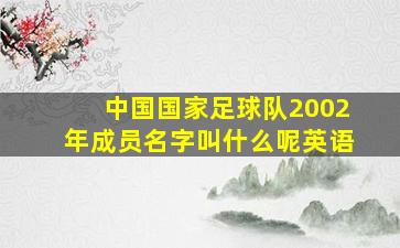 中国国家足球队2002年成员名字叫什么呢英语