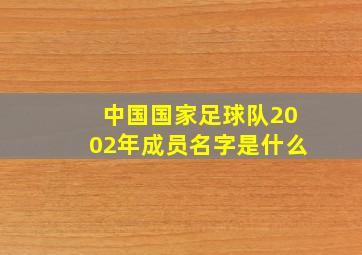 中国国家足球队2002年成员名字是什么