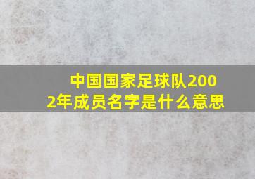 中国国家足球队2002年成员名字是什么意思