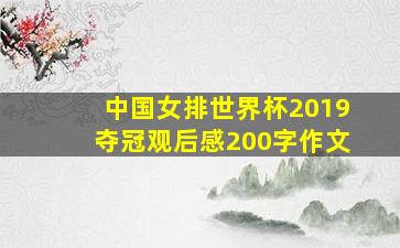 中国女排世界杯2019夺冠观后感200字作文