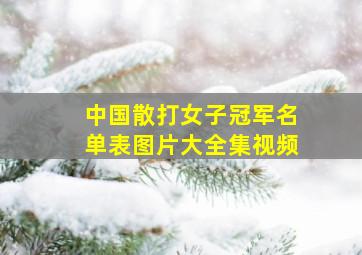 中国散打女子冠军名单表图片大全集视频