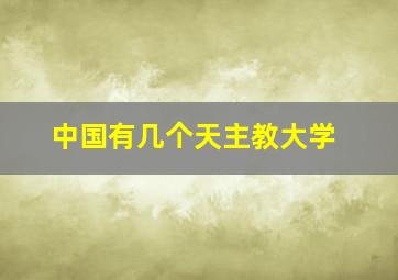 中国有几个天主教大学