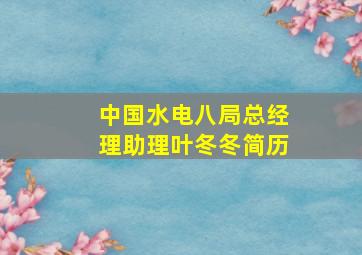 中国水电八局总经理助理叶冬冬简历