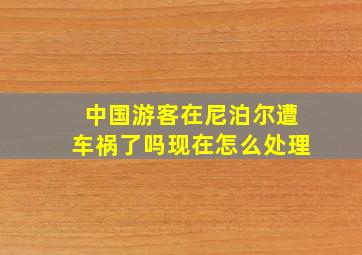 中国游客在尼泊尔遭车祸了吗现在怎么处理