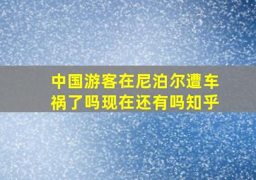 中国游客在尼泊尔遭车祸了吗现在还有吗知乎