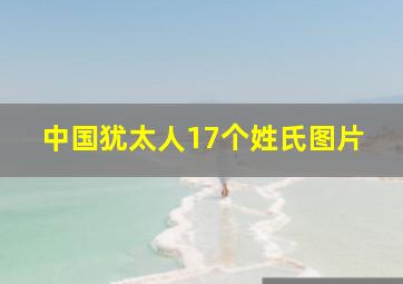 中国犹太人17个姓氏图片