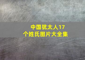 中国犹太人17个姓氏图片大全集