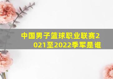 中国男子篮球职业联赛2021至2022季军是谁