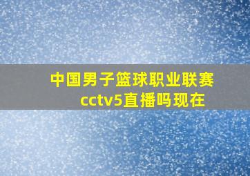 中国男子篮球职业联赛cctv5直播吗现在