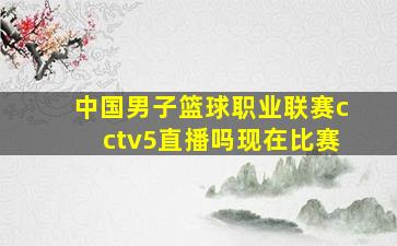 中国男子篮球职业联赛cctv5直播吗现在比赛