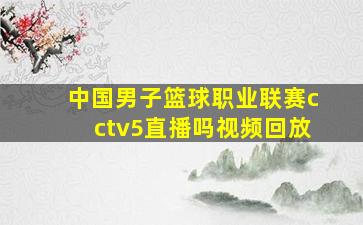 中国男子篮球职业联赛cctv5直播吗视频回放