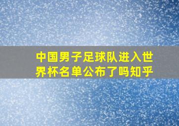 中国男子足球队进入世界杯名单公布了吗知乎