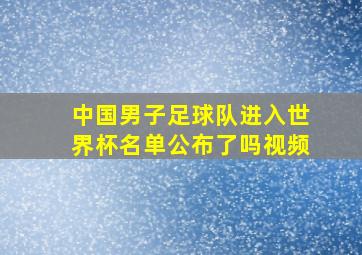 中国男子足球队进入世界杯名单公布了吗视频