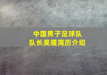 中国男子足球队队长吴曦简历介绍