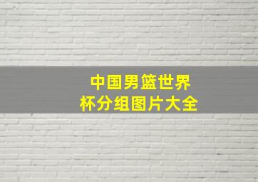 中国男篮世界杯分组图片大全