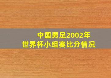 中国男足2002年世界杯小组赛比分情况