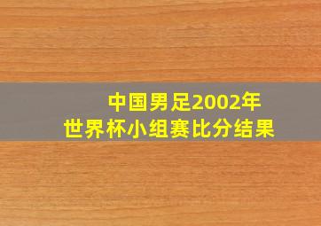 中国男足2002年世界杯小组赛比分结果