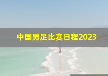 中国男足比赛日程2023