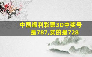 中国福利彩票3D中奖号是787,买的是728