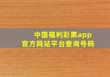 中国福利彩票app官方网站平台查询号码