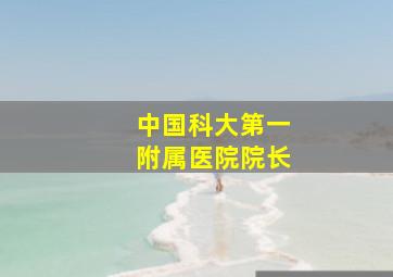 中国科大第一附属医院院长