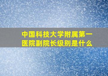 中国科技大学附属第一医院副院长级别是什么