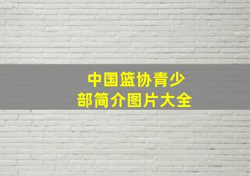 中国篮协青少部简介图片大全