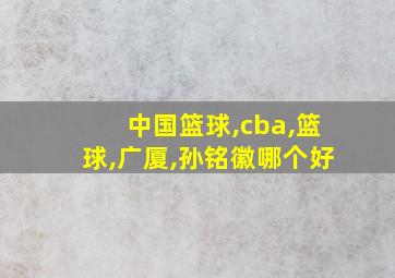 中国篮球,cba,篮球,广厦,孙铭徽哪个好