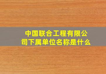 中国联合工程有限公司下属单位名称是什么