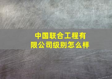 中国联合工程有限公司级别怎么样