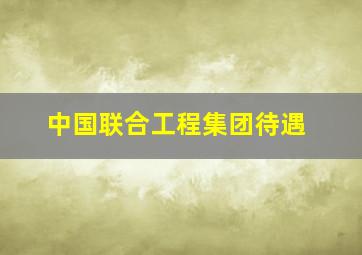 中国联合工程集团待遇