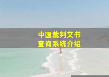 中国裁判文书查询系统介绍