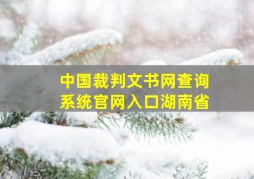 中国裁判文书网查询系统官网入口湖南省