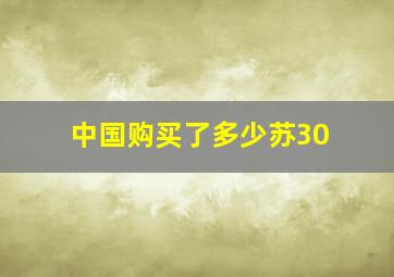 中国购买了多少苏30