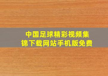 中国足球精彩视频集锦下载网站手机版免费