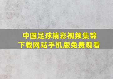 中国足球精彩视频集锦下载网站手机版免费观看