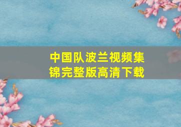 中国队波兰视频集锦完整版高清下载